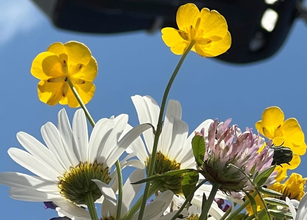 Metaforen med blommor
